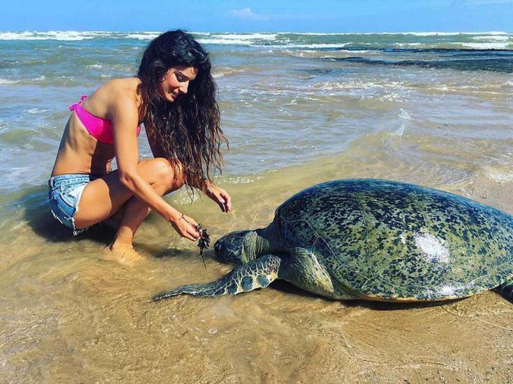 Turtle Bay 호텔 히카두와 외부 사진